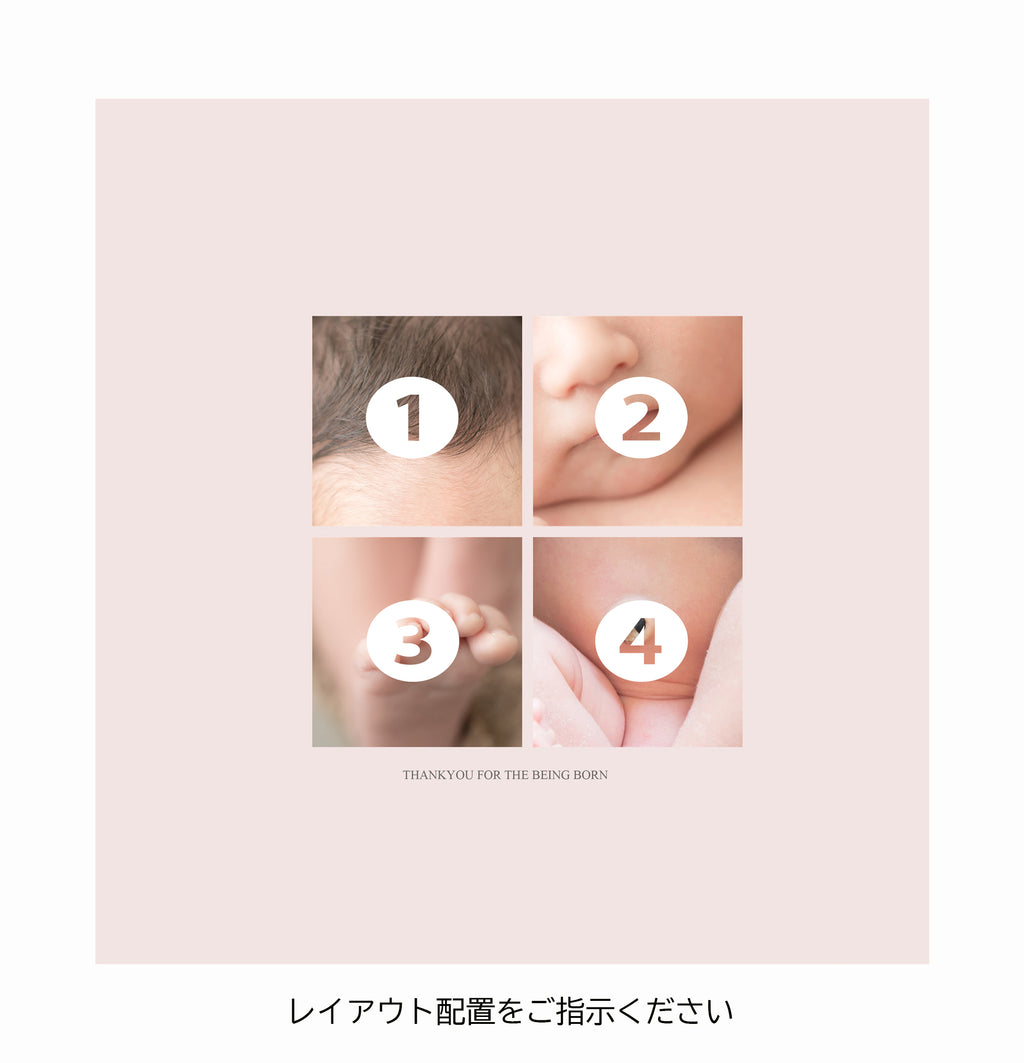 裏表紙／写真4枚追加