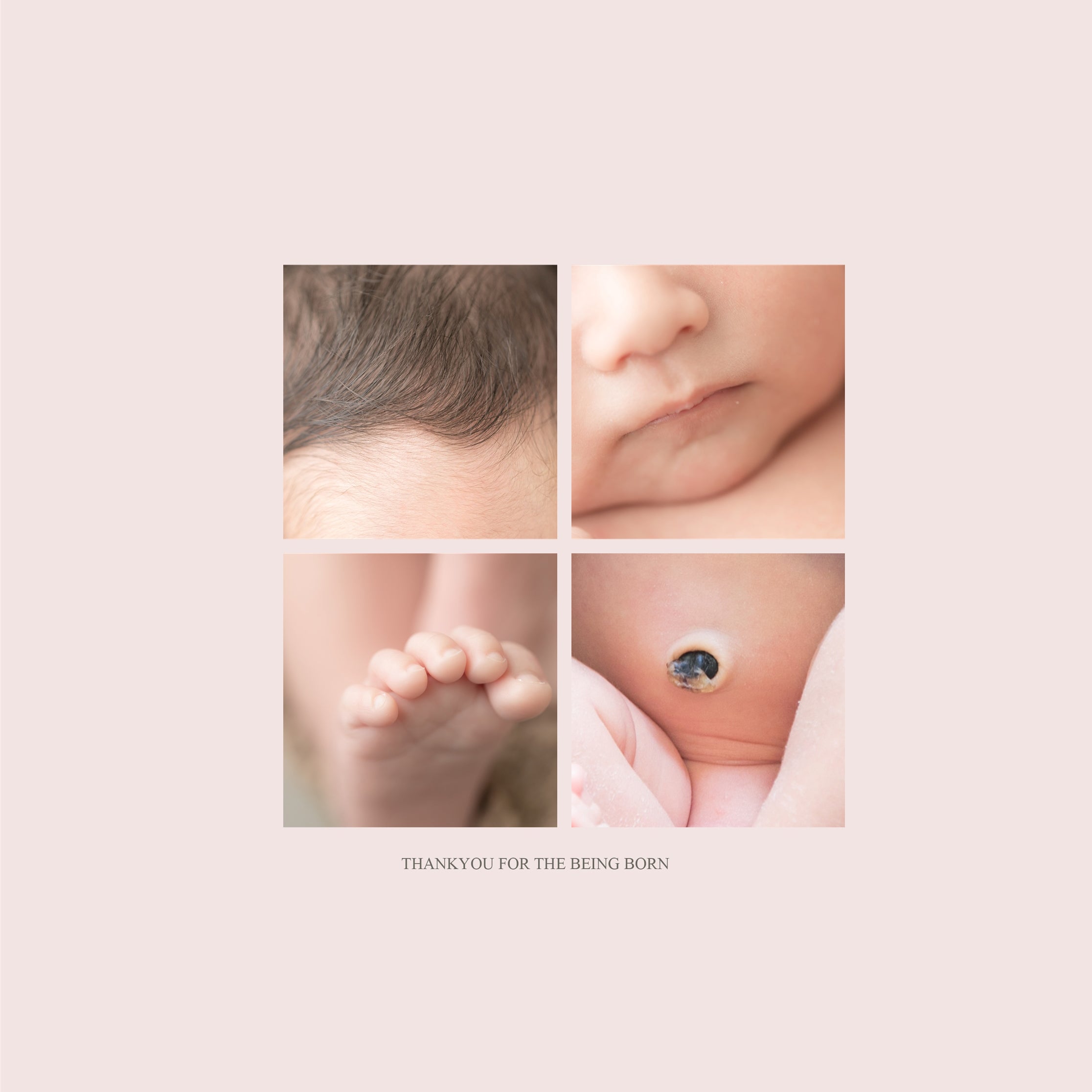 裏表紙／写真4枚追加