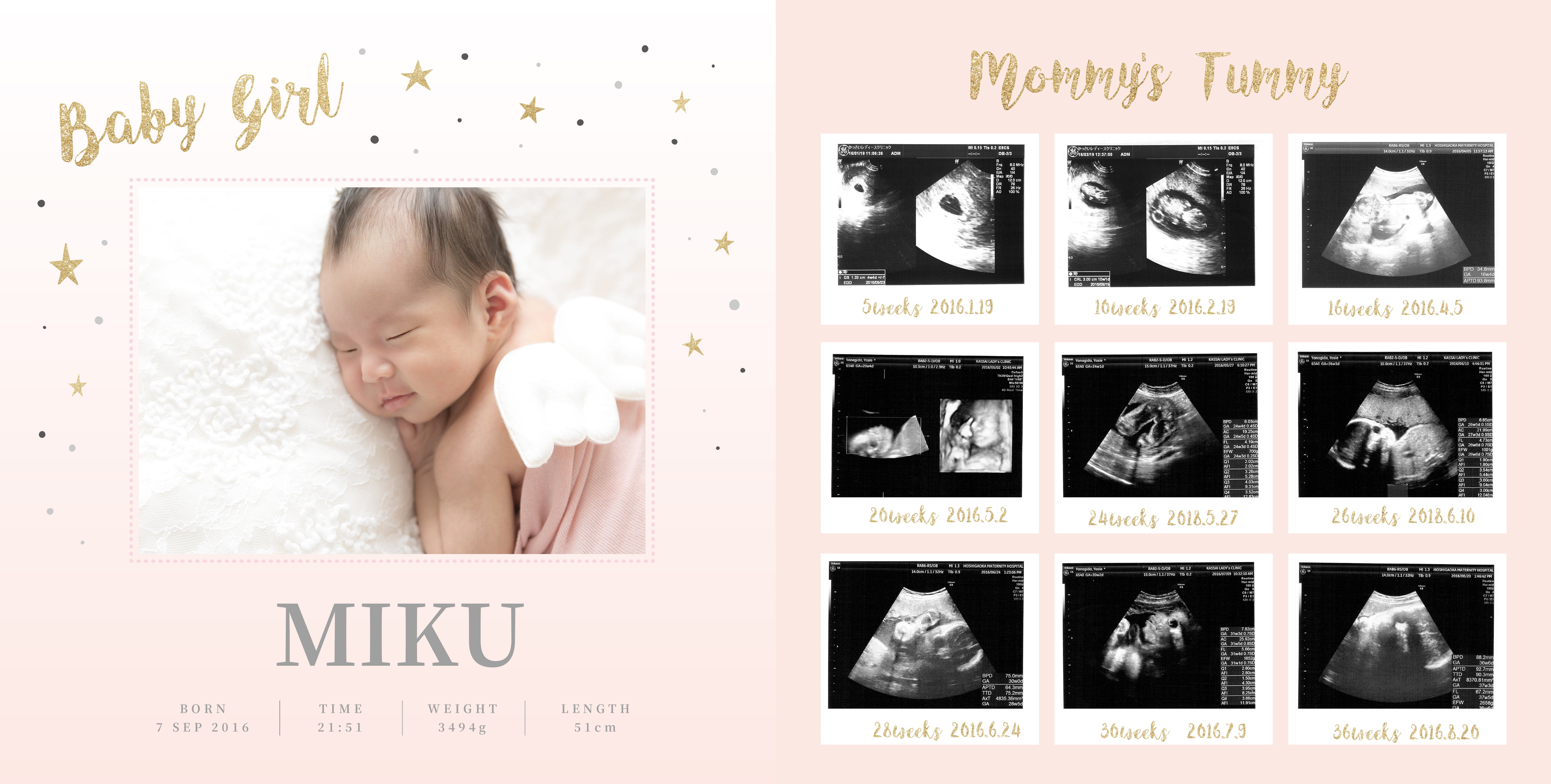 ☆エコーアルバム – BIRTH DESIGN OFFICE