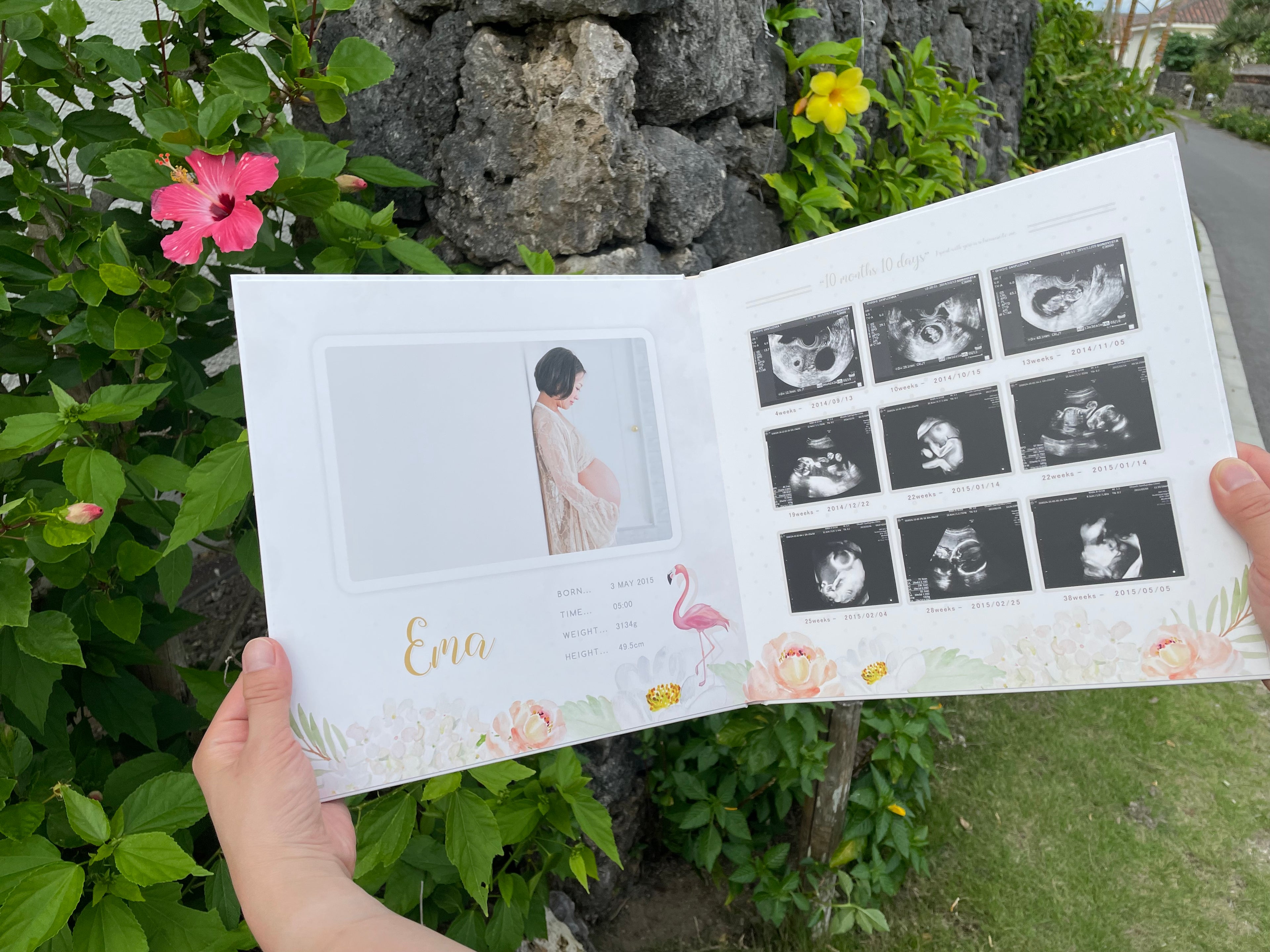 パラダイス/ピンク