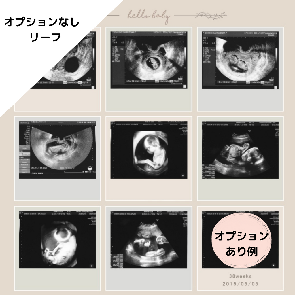 週数日付
