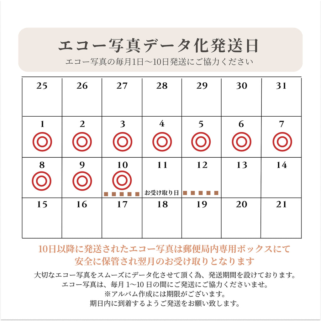 データ化お任せオプション