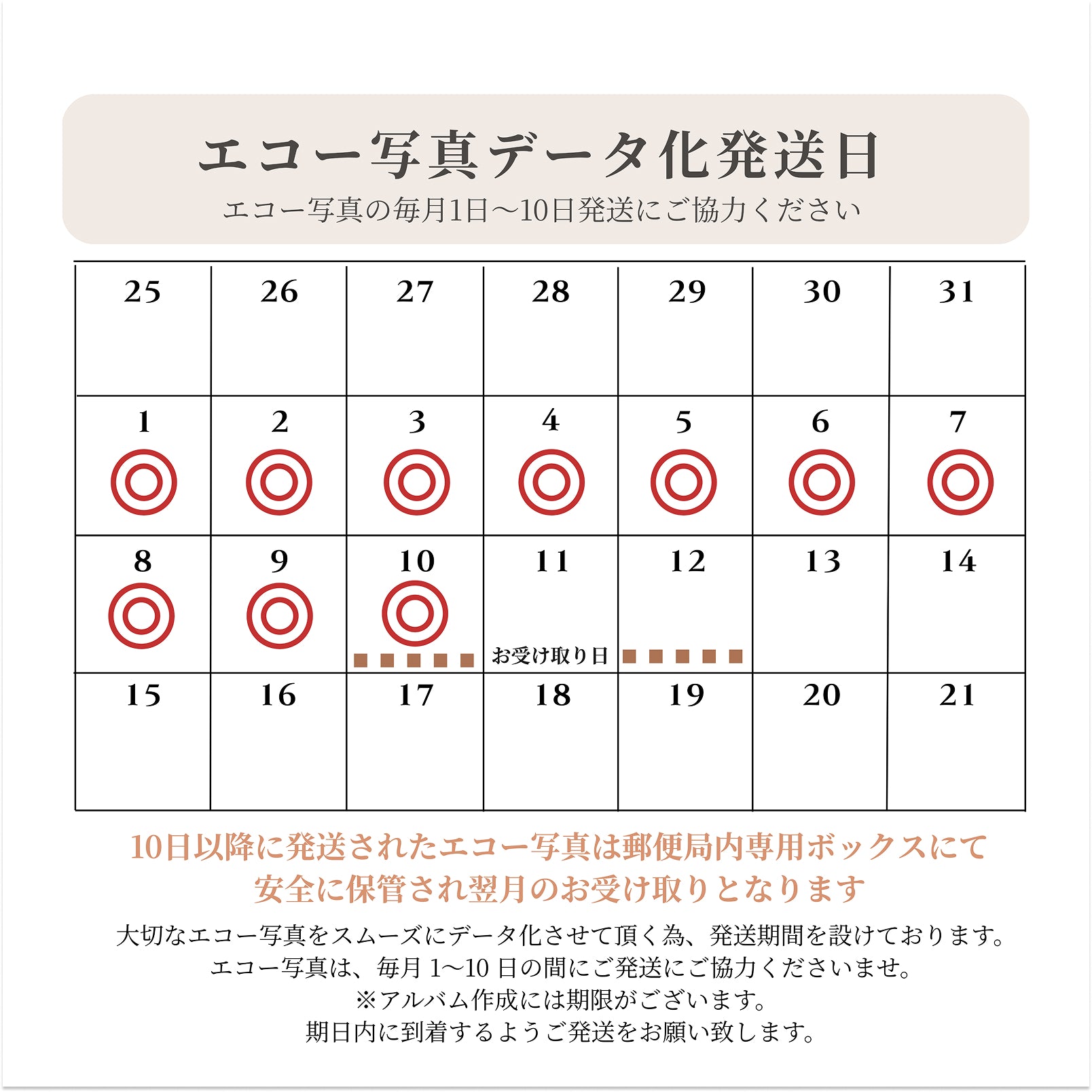 データ化お任せオプション